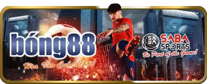 Cá Cược Bóng Rổ
